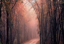 金年会体育官网入口：西甲第33輪皇家社會2-0皇家馬德裏  米利唐頭球建功 皇馬客場2連敗！.